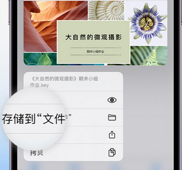 栖霞apple维修中心分享iPhone文件应用中存储和找到下载文件