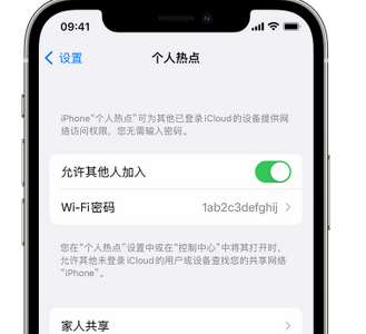 栖霞apple服务站点分享iPhone上个人热点丢失了怎么办