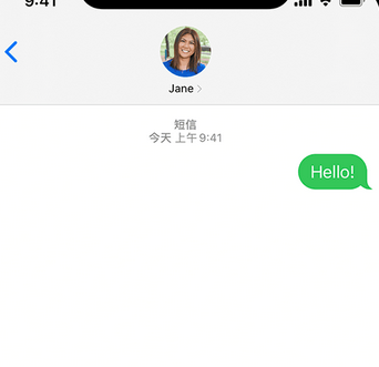 栖霞apple维修iPhone上无法正常发送iMessage信息