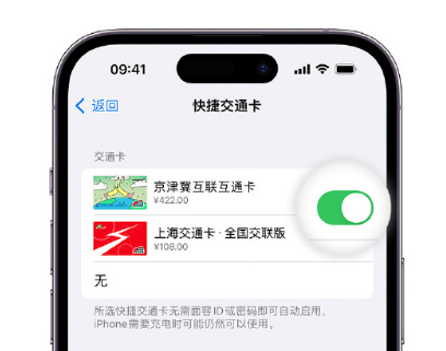 栖霞apple维修点分享iPhone上更换Apple Pay快捷交通卡手绘卡面 