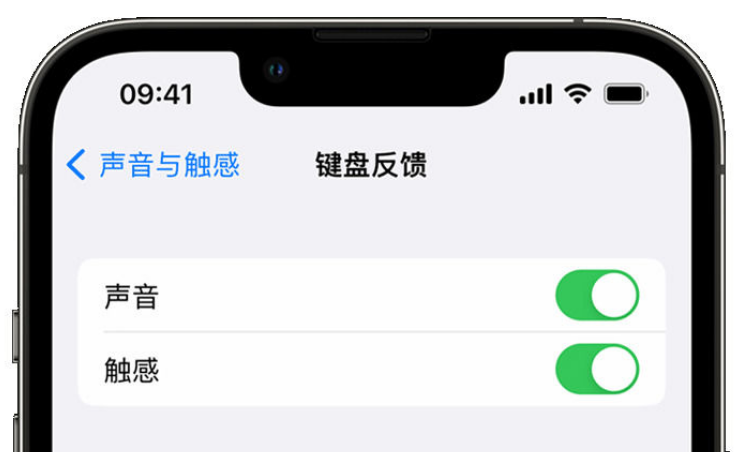 栖霞苹果手机维修分享iPhone 14触感键盘使用方法 